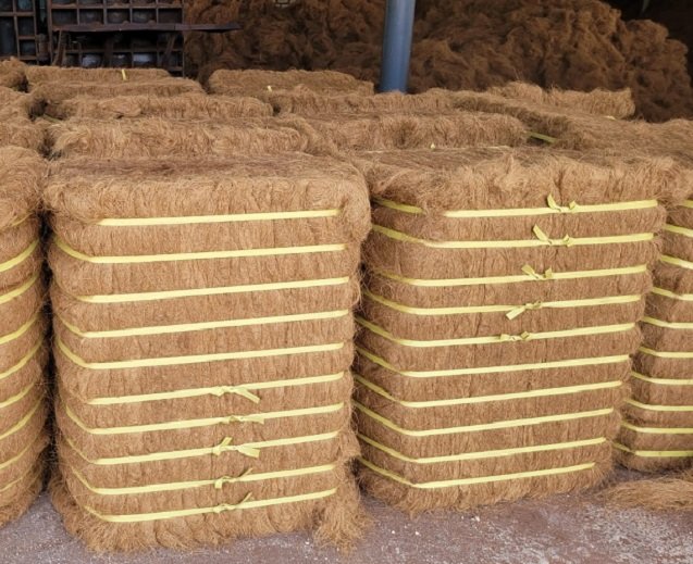 Coconut Fiber