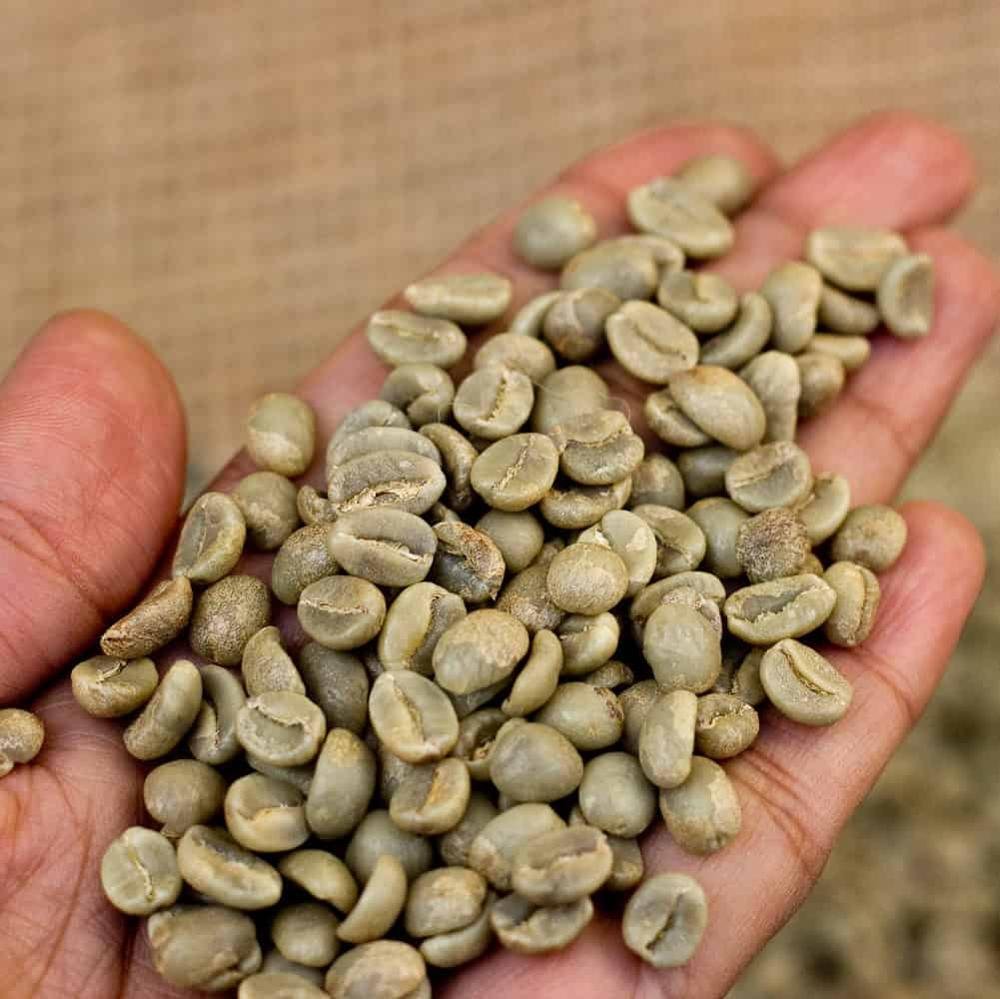 Robusta Temanggung - Central Java